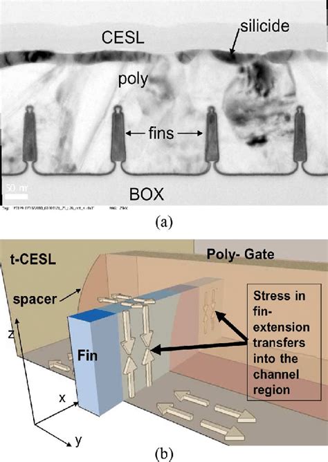 A TEM Cross Sectional View Of A DG FinFET With A CESL Along The Gate