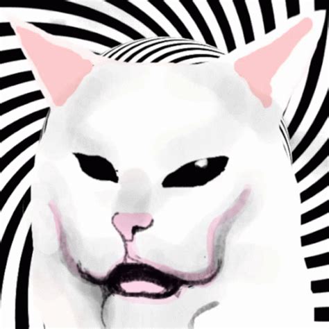 Spinning Cat Illusion GIFs | Tenor