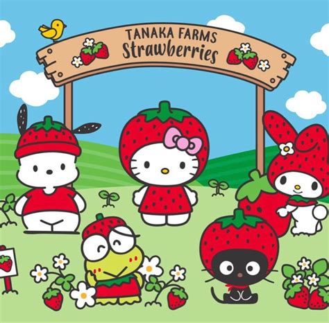 Strawberry Farm Hello Kitty Sanrio Tipps Fürs Zeichnen Hello Kitty