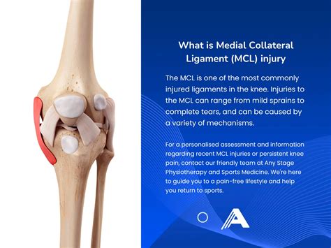 medial collateral ligament mcl injury   knee