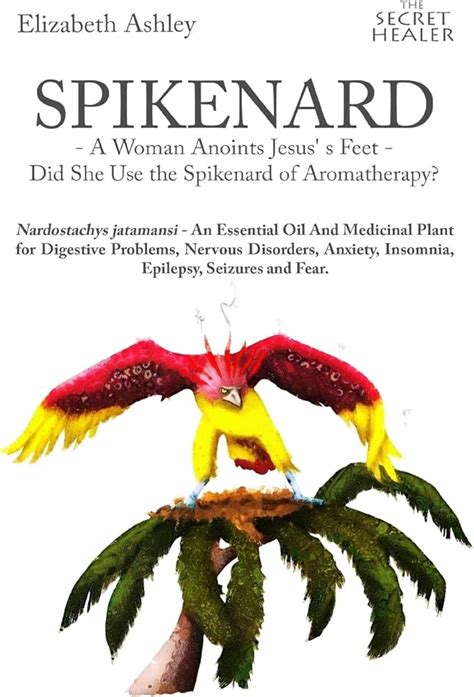 Mary Mary & Secret Feet