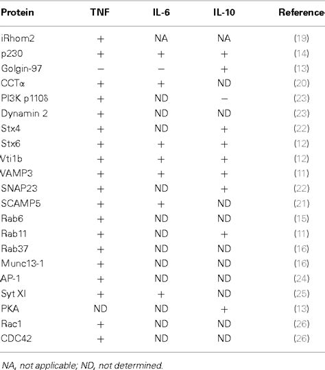 Phagocytic Cup Semantic Scholar