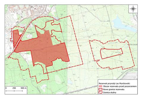 Rezerwat Przyrody Las Murckowski Powi Kszy Si O Hektar W Katowice