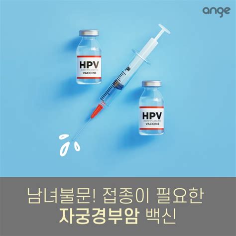 자궁경부암 백신 가다실 9가 남자도 맞아야 할까 네이트뷰