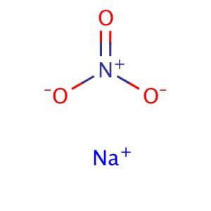 Sodium Nitrate CAS 7631 99 4 SCBT Santa Cruz Biotechnology