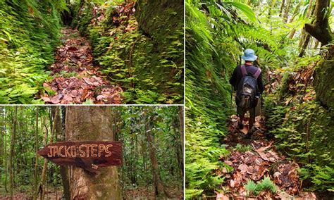 List Of Some Of The Best Hiking Trails In Dominica