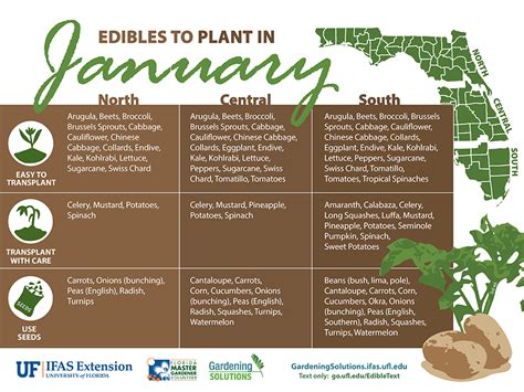 Vegetables To Plant In January Gardening Solutions University Of