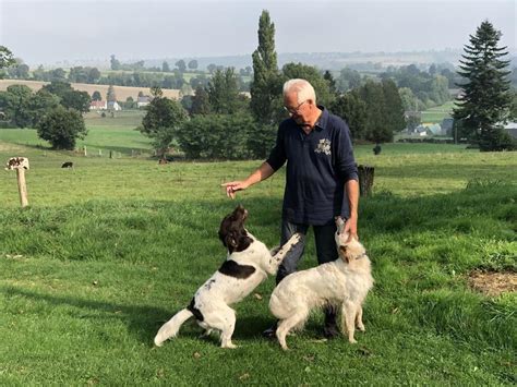 Ouverture De La Chasse La Fédération Du Calvados Préconise Dattendre