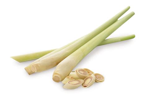 Fresh Lemon Grass