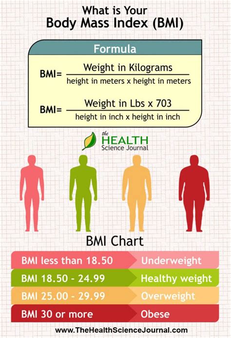 Cara Menghitung Berat Badan Ideal Rumus Mudah Dan Penjelasannya