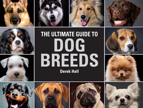 The Ultimate Guide to Dog Breeds: A Useful Means of Identifying the Dog ...