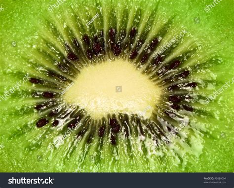 Kiwi Fruit Cut In Half Close Up Stock Photo Shutterstock