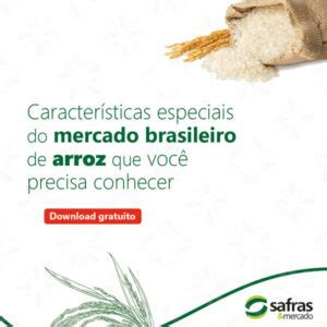 Mercado De Arroz Veja As Perspectivas A Atual Safra