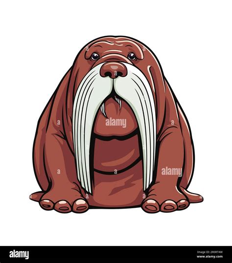 Walrus Cartoon Animal Illustration Color Stock Vector Image And Art Alamy