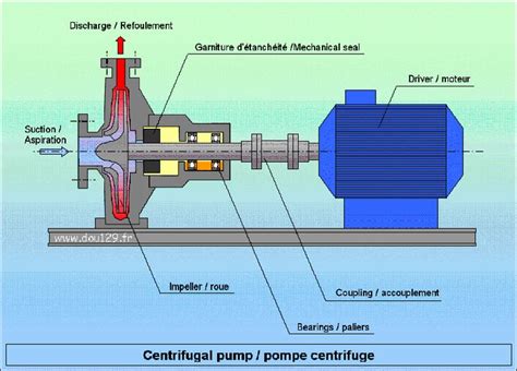 Pin By M Cavibre Garcia On Pure M Canique Map Screenshot Map