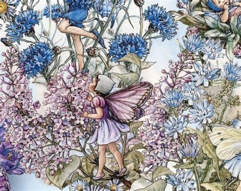 Flower Fairy Cicely Mary Barker Periwinkle Fabric 14 Inches Last In