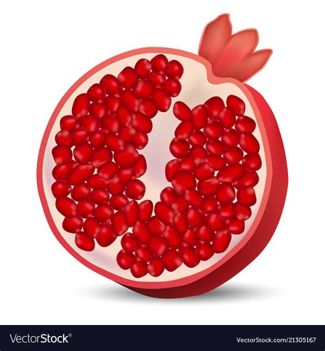 Half Pomegranate Icon Realistic Style Royalty Free Vector