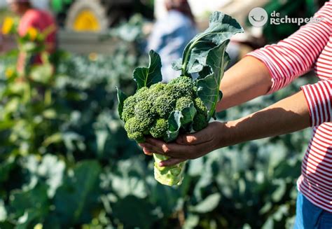 Brócoli beneficios y propiedades para tu salud De Rechupete