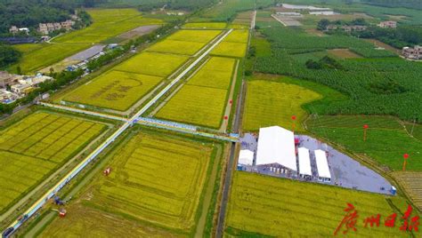 全国首批创建农业现代化示范区公示，增城入选