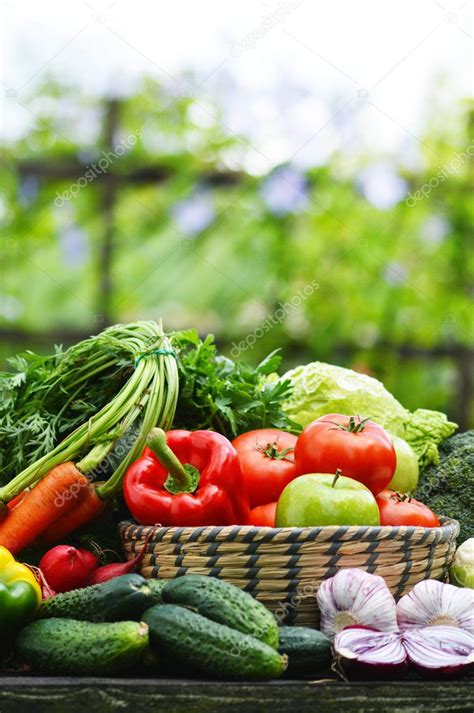 Verduras orgánicas frescas en canasta de mimbre en el jardín