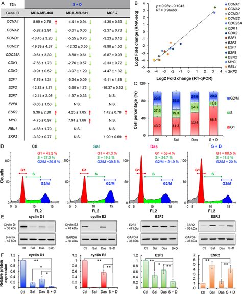 The drug combination enhanced cell cycle arrest at the G1/S phase. a A... | Download Scientific ...