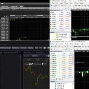 Globally Regulated Forex Introducing Broker Forest Park Fx