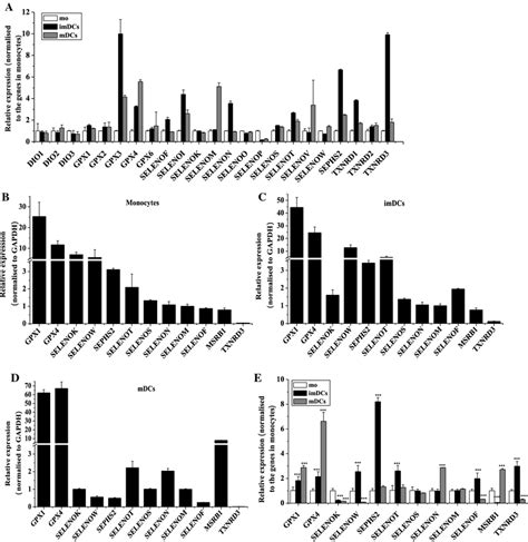 Selenoprotein Expression Differs Among Monocytes Immature Dendritic