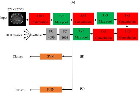 Diagnostics Free Full Text Refined Automatic Brain Tumor