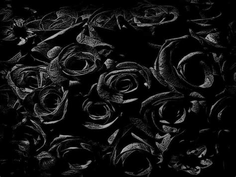 Black Rose Wallpaper 4K