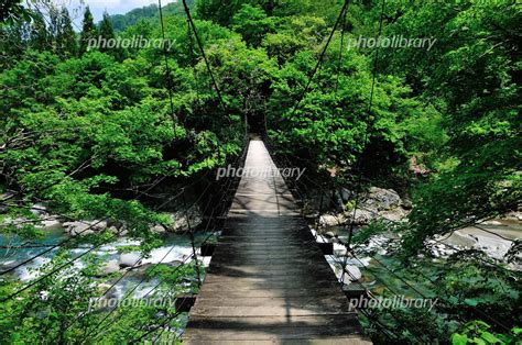 新潟県津南町 三倉の吊り橋からの中津川渓谷 写真素材 4436675 フォトライブラリー Photolibrary