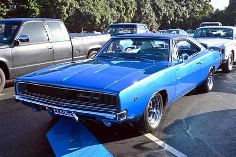 Dodge Charger At Auckland New Zealand Stephen Satherley