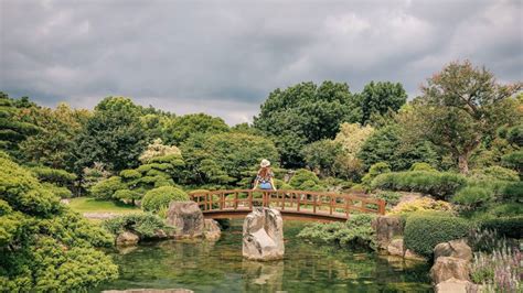 與大佛合照「入園半價」！彰化落羽松大道春節正美，「台版兼六園」超好拍 Yahoo奇摩汽車機車