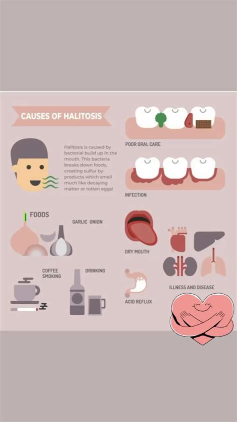 Causes of halitosis – Artofit