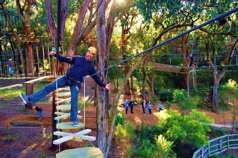 Enchanted Adventure Garden Canopy Tour And Mornington Peninsula From