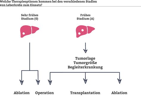 Leberkrebs Diagnose Und Therapie I Das K Wort