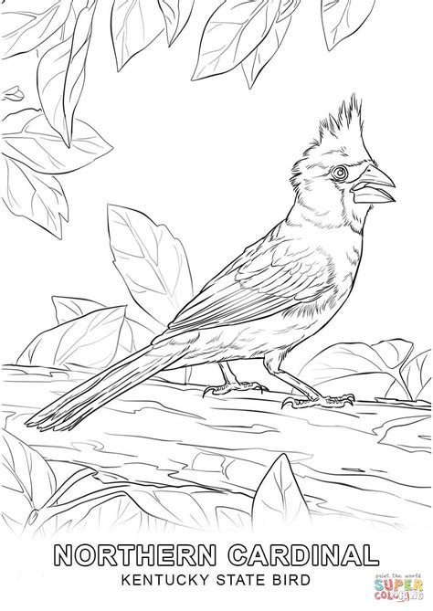 Alabama State Bird Coloring Page - Coloring Home