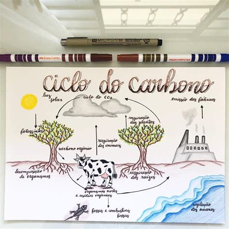 Mapa Mental Ciclo Do Carbono Edulearn