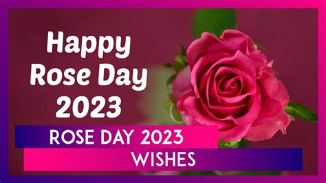 Rose Day Wishes Greetings Romantic Quotes To Share On The First