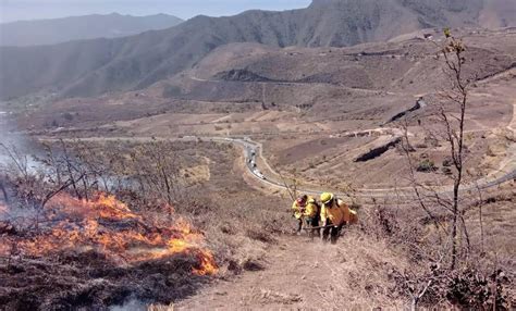 Reportan incendio forestal en zona montañosa de Veracruz El Universal