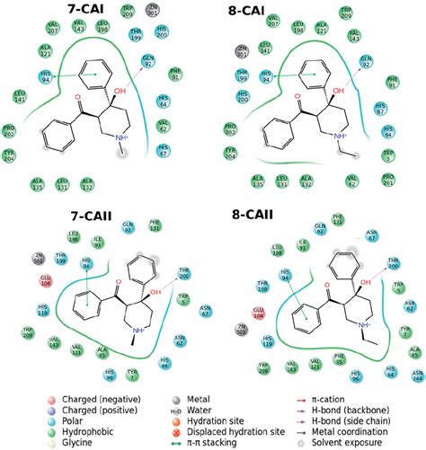 2d Docking Poses Of Compounds 7 And 8 Into The Hca I And Ii Receptors