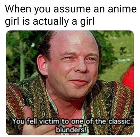 Are Traps Gay R Animemes