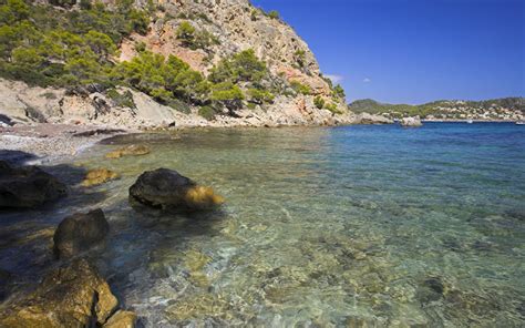 Descubre Cala Blanca Tu Playa Canina En Baleares