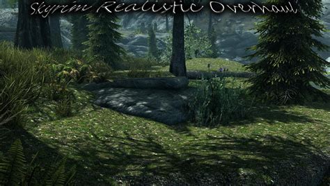 Skyrim Realistic Overhaul Features Gb And More Than Of High