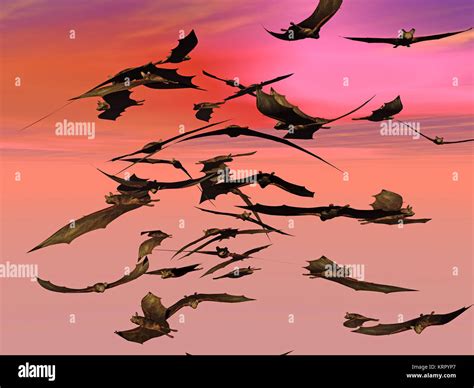 Insectivorous Bats Hi Res Stock Photography And Images Alamy