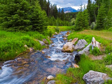 banff national park wallpaper, be polite do not mention the gay ...