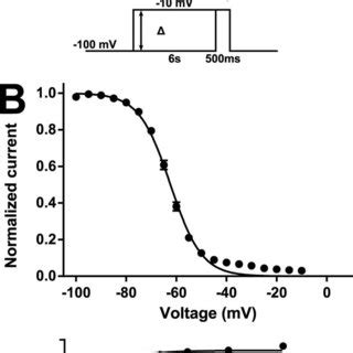 Voltage Dependence Of The Inactivation And Recovery From Inactivation