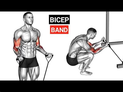 Build Biceps With Resistance Bands Biceps Resistance Band Workout