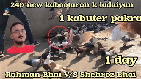 Kabuter Pakra Rahman Bhai V S Shehroz Bhai New Kabootaron K