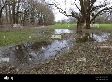 Niedersachsen Hannover Hochwasser Stra Ensch Den Das Hochwasser