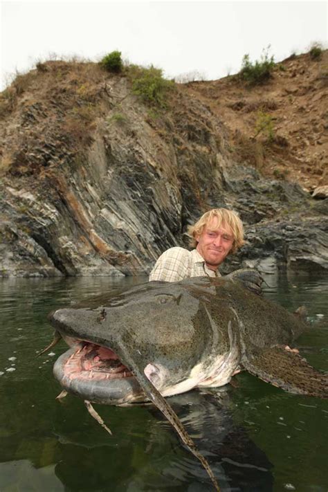 Biggest Catfish World Records Of All Time Game Fish